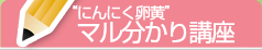 にんにく卵黄マル分かり講座