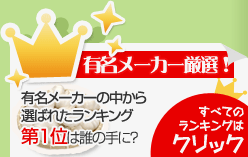 有名メーカー厳選！ランキング